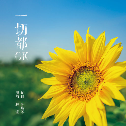 体内射精一汇编3未删减版下载
